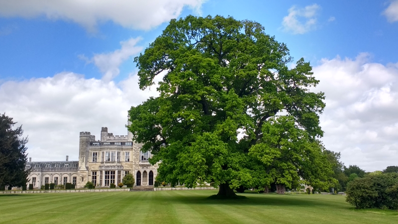 Ashridge House Gardens